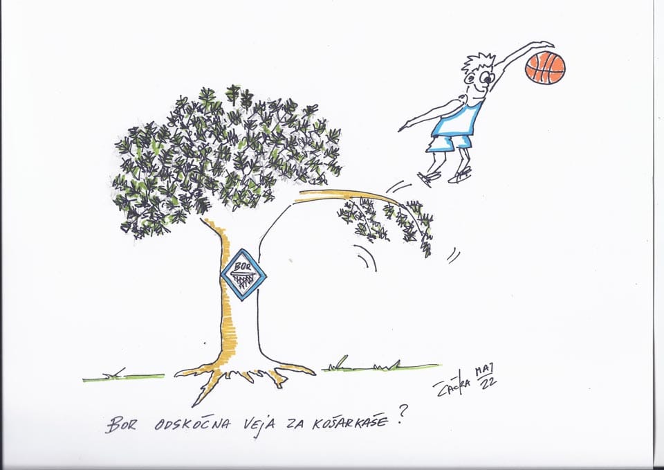 Kekova vinjeta: borveja