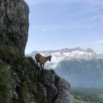 Planinci AŠD Mladina: na vrh Monte Cocco (KuK) in Špika Hude p