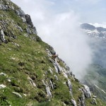 Planinci AŠD Mladina: na vrh Monte Cocco (KuK) in Špika Hude p