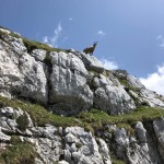 Planinci AŠD Mladina: na vrh Monte Cocco (KuK) in Špika Hude p