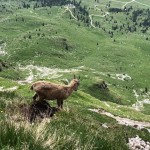 Planinci AŠD Mladina: na vrh Monte Cocco (KuK) in Špika Hude p