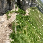 Planinci AŠD Mladina: na vrh Monte Cocco (KuK) in Špika Hude p