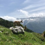 Planinci AŠD Mladina: na vrh Monte Cocco (KuK) in Špika Hude p