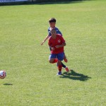 Turnir ZSŠDI : Nogomet U 15