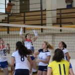 ZSŠDI : Igre prijateljstva,ženska odbojka