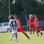 Turnir ZSŠDI : Nogomet U 15