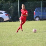 Turnir ZSŠDI : Nogomet U 15