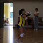 ZSŠDI : Igre prijateljstva,ženska odbojka