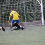 ZSŠDI : Igre prijateljstva : Mali nogomet
