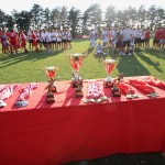 Turnir ZSŠDI : Nogomet U 15