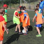 ZSŠDI organizator sklepnega šolskega športnega tekmovanja Ve