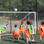 ZSŠDI organizator sklepnega šolskega športnega tekmovanja Ve