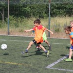 ZSŠDI organizator sklepnega šolskega športnega tekmovanja Ve