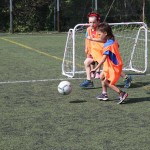 ZSŠDI organizator sklepnega šolskega športnega tekmovanja Ve