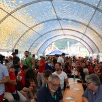 Kulturni dan Europeada