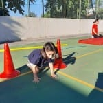 Sokol zalkjučna prireditev