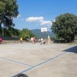 Dom Street Basket