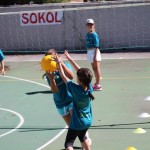 Kamp volley Mania