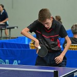 Mednarodni mladinski ekipni namiznoteniski turnir za Pokal Krasa