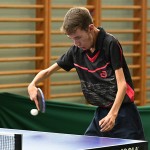 Mednarodni mladinski ekipni namiznoteniski turnir za Pokal Krasa