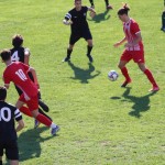 Nogomet : Pokal 1.AL Zarja - Roianese