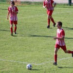 Nogomet : Pokal 1.AL Zarja - Roianese