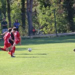 Nogomet : Pokal 1.AL Zarja - Roianese