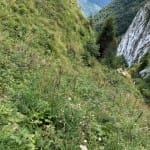 Planinci AŠD Mladina