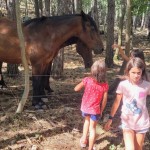 Sloga: dnevi odprtih vrat povsem uspeli