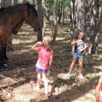 Sloga: dnevi odprtih vrat povsem uspeli