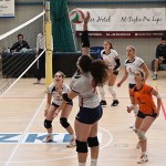 Sport - ODBOJKA - POKAL BAZOVIsKIH JUNAKOV - Zalet – Vital Ljubljana