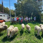 Sloga: dnevi odprtih vrat povsem uspeli