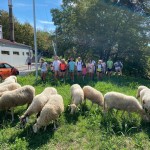 Sloga: dnevi odprtih vrat povsem uspeli