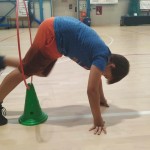 Sloga: dnevi odprtih vrat povsem uspeli