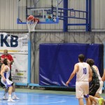 Košarka, Memorial Boris Tavćar