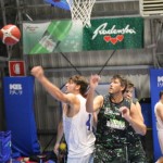 Košarka, Memorial Boris Tavćar