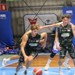 Košarka, Memorial Boris Tavćar