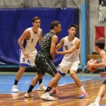 Košarka, Memorial Boris Tavćar