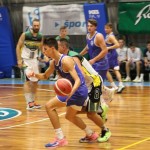 Košarka : Memorial Tavćar