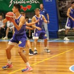 Košarka : Memorial Tavćar