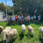 Sloga: dnevi odprtih vrat povsem uspeli