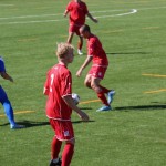 Nogomet ,promocijska liga : Primorec - Lavarian