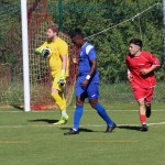 Nogomet ,promocijska liga : Primorec - Lavarian