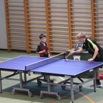 Namizni tenis vikend Kras