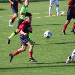 Nogomet 2.AL : Primorec - Risanese