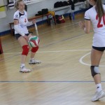Odbojka,1.Ženska divizija : Zalet . Soča