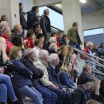 Nogomet elitna liga : Kras Repen - Sistiana  Sesljan