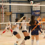 Odbojka,1.Ž.divizija : Zalet : Olimpya Ts