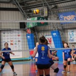 Odbojka U 16 : Bor - Soća