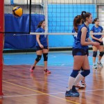 Odbojka U 16 : Bor - Soća